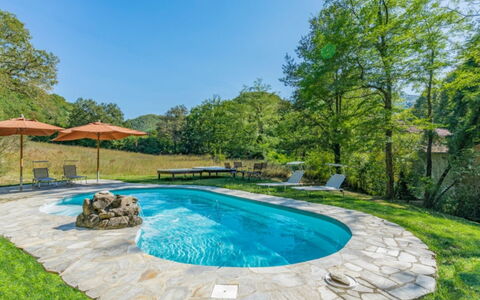 Villa Paola: Piscine, Propriété, Paysage Naturel, Arrière-Cour, Immobilier, Biens, Maison, Herbe, Domicile, Cour