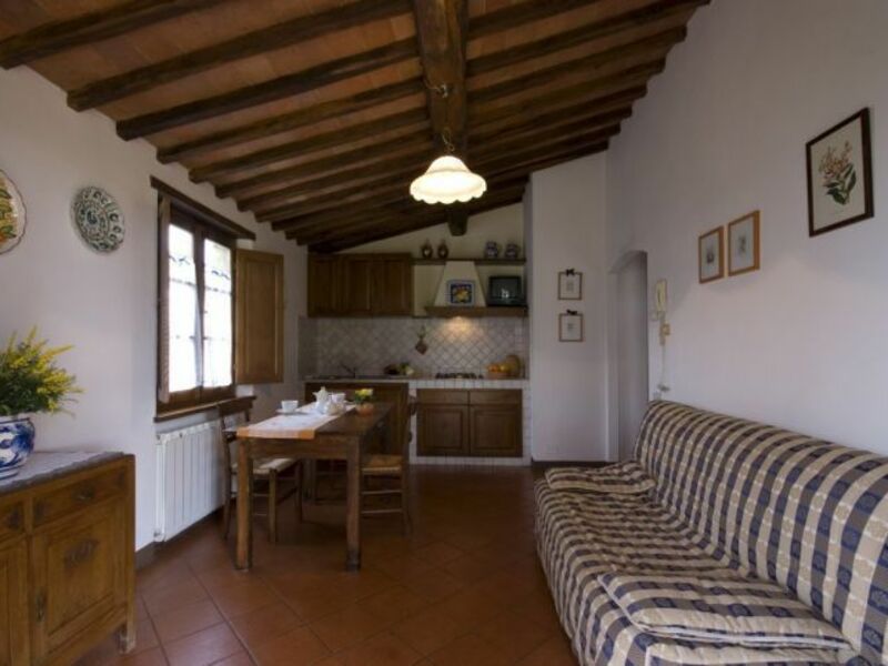 Logement:&nbsp;Pergola