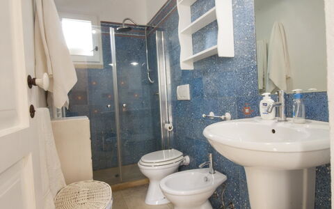 Logement:&nbsp;Studio