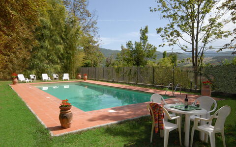 Villa Del Conte: Piscine, Propriété, Arrière-Cour, Herbe, Loisir, Immobilier, Biens, Maison, Cour, Arbre