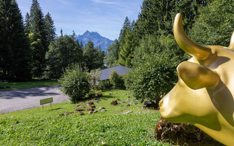 Les Hespérides 2: Paysage, Pâturage, Chaîne De Montagnes, Station De Montagne, Klaxon, Prairie, Mélèze, Vallée