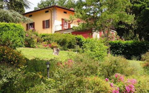 Villa i Cedri: Végétation, Propriété, Jardin, Maison, Paysage Naturel, Botanique, Immobilier, Zone Rurale, Plante, Arbuste