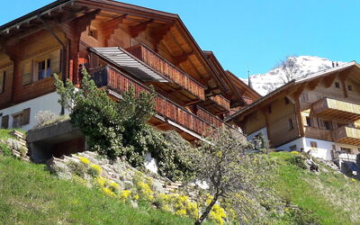 location de vacances Bluemewäg Apt.r - Wengen, Berne, Suisse