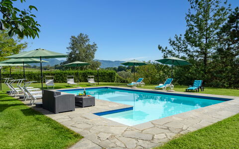 Villa La Collina: L'Eau, Plante, Ciel, Piscine, Arbre, Ombre, Mobilier De Jardin, Herbe, Bâtiment, Loisir