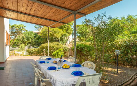 Valledoria 710: Table, Plante, Meubles, Vaisselle, Chaise, Ombre, Design Intérieur, Mobilier De Jardin, Tableau De Plein Air, Arbre