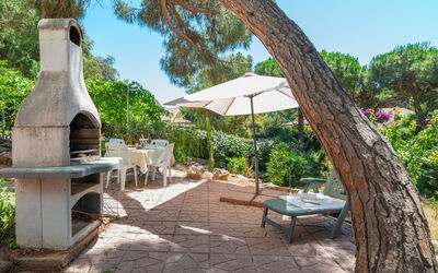 Valledoria 710: Plante, Meubles, Propriété, Ciel, Communauté Des Plantes, Arbre, Mobilier De Jardin, Ombre, Loisir, Paysage