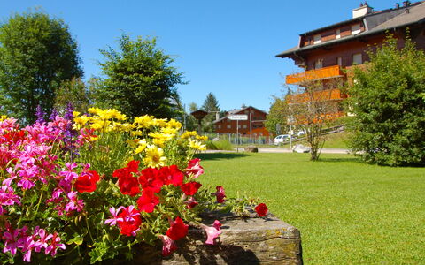 Villars 125: Fleur, La Nature, Jardin, Plante, Printemps, Arbre, Ciel, Herbe, Botanique, Maison
