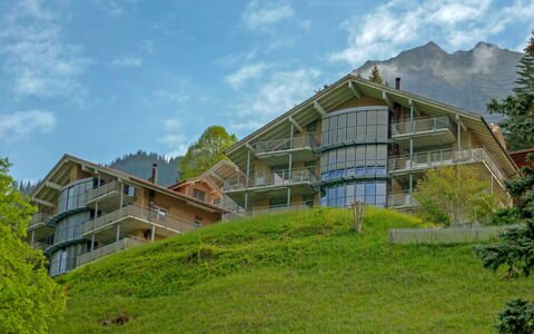 Wengen 62: Propriété, Maison, Domicile, Végétation, Paysage Naturel, Immobilier, Bâtiment, Lot Terre, Station De Montagne, Architecture