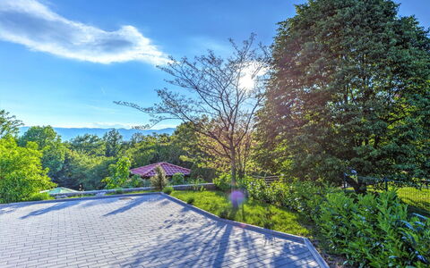 Dante: La Nature, Ciel, Bleu, Arbre, Propriété, Jour, Immobilier, Jardin, Botanique, Herbe