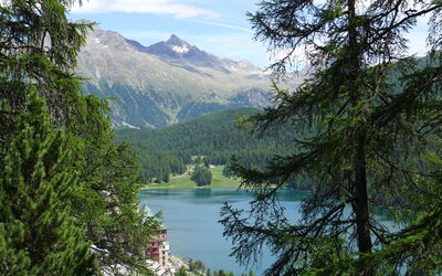 St. Moritz 131