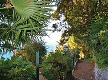Casa Garden