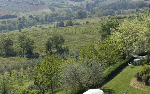 Agriturismo Paterno: Végétation, Paysage Naturel, Montagnes, Réserve Naturelle, Environnement Naturel, Région Sauvage, Station De Montagne, Arbre, Colline, Montagne