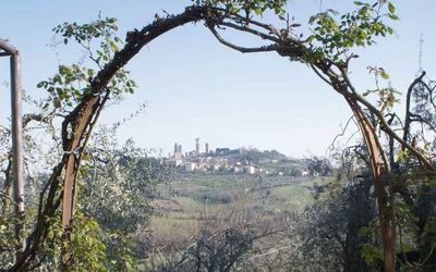 Le panorama du jardin