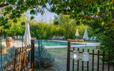 Agriturismo Il Molinello: Plante, L'Eau, Clôture, Arbre, Paysage Naturel, Ombre, Suppression Des Plantes Ligneuses, Bois, Herbe, Accueil Escrime