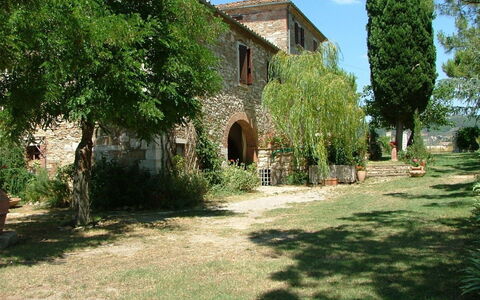 Agriturismo Il Molinello: Propriété, Maison, Bâtiment, Arbre, Herbe, Biens, Immobilier, Architecture, Hacienda, Zone Rurale