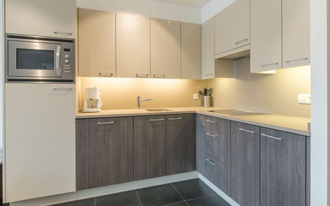 Albatros 301 with Balcony: Cabinetry, Comptoir, Propriété, Meubles, Evier, Appareil De Cuisine, Cuisinière, Électroménager, Bâtiment, Cuisine