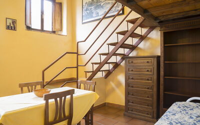 Logement:&nbsp;Belvedere 1