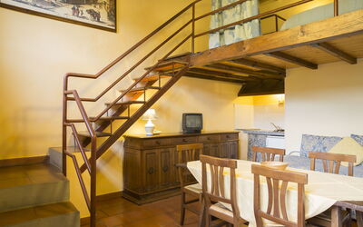 Living room / Kitchen