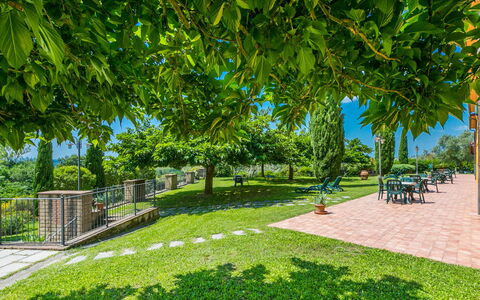 Il Casale: Plante, Feuille, Ombre, Botanique, Paysage Naturel, Lot Terre, Végétation, Arbre, Herbe, Design Urbain
