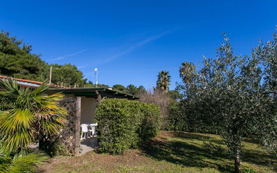 Logement:&nbsp;Straccoligno 290.2