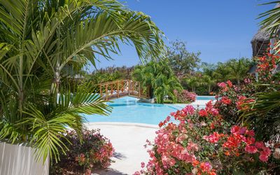 Swordfish Villas In Malindi: Propriété, Recours, Végétation, Palmier, Arbre, Vacances, Piscine, Tropiques, Immobilier, Arecales