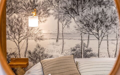 Carnac 270: Plante, Lumière, Feuille, Jaune, Bois, Branche, Arbre, Table, Fenêtre, Design Intérieur