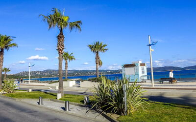 Cavalaire 264
