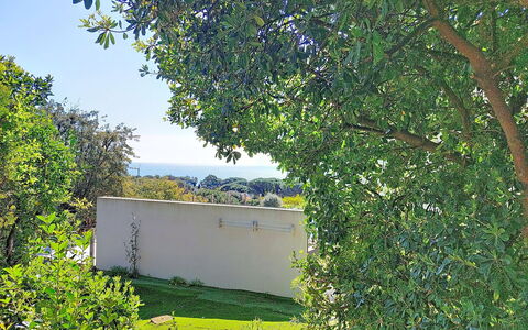 Villa Chantoiseau: Bleu, Jour, Feuille, Vert, Branche, Végétation, Arbuste, Lot Terre, Jardin, Ombre