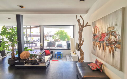 Les Oliviers: Meubles, Propriété, Plante, Canapé, Bois, Plante D'Appartement, Design Intérieur, Salon, Architecture, Table