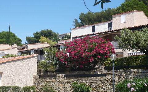 Saint Cyr sur Mer la Madrague 900: Ciel, Plante, Fleur, Bâtiment, Fenêtre, Arbre, Maison, Chalet, Façade, Arbuste