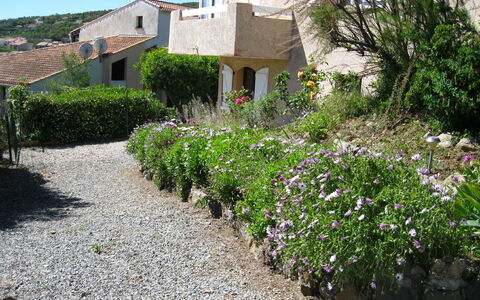 Les Issambres 145: Propriété, Fleur, Plante, Arbuste, Jardin, Maison, Botanique, Zone Rurale, Couverture De Sol, Paysage