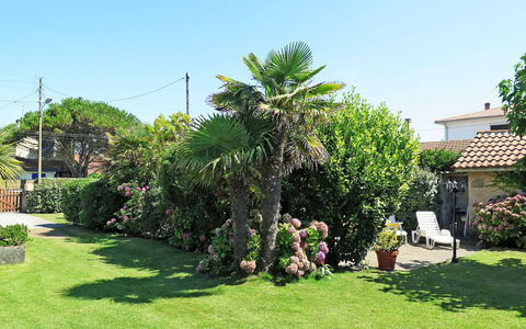 La Poste: Propriété, Arbre, Jardin, Immobilier, Cour, Plante, Lot Terre, Domicile, Pelouse, Herbe