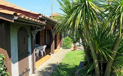 Poste: Propriété, Maison, Immobilier, Arbre, Bâtiment, Palmier, Botanique, Arecales, Herbe, Plante