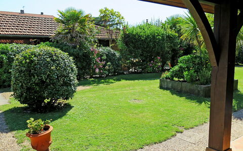 Poste: Propriété, Herbe, Cour, Jardin, Maison, Immobilier, Arrière-Cour, Pelouse, Arbre, Plante