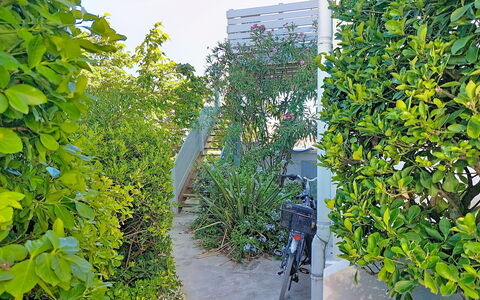 Mimizan 314: Vert, Feuille, Arbuste, Lumière Du Soleil, Suppression Des Plantes Ligneuses, Ombre, Jardin, Haie, À Feuilles Persistantes, Passerelle