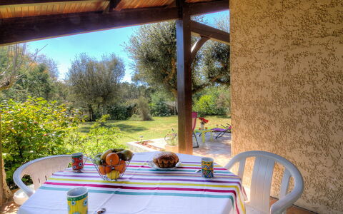 Faisans: Plante, Propriété, Meubles, Table, Vaisselle, Ombre, Design Intérieur, Chaise, Architecture, Éclairage