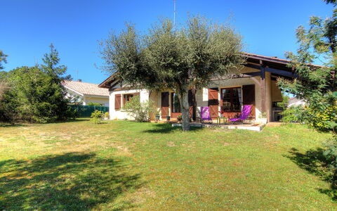 Faisans: Plante, Ciel, Bâtiment, Propriété, Fenêtre, Arbre, Ombre, Maison, Lot Terre, Paysage Naturel