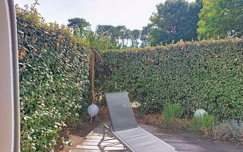 Artémis: Arbuste, Haie, Couverture De Sol, Jardin, Ombre, À Feuilles Persistantes, Arrière-Cour, Herbe