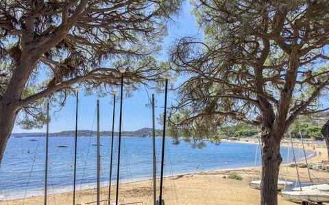Le Mas D'Esquière 5: L'Eau, Ciel, Plante, Ombre, Arbre, Branche, Paysage Naturel, Plage, Cotiers Et Relief Océaniques, Bois