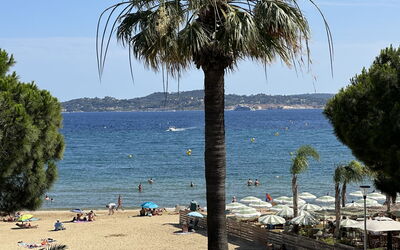 Logement:&nbsp;Les Dauphins 124.2