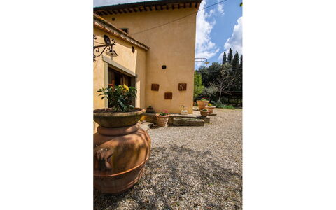 Collina dei Fiori: Plante, Propriété, Pot De Fleur, Fenêtre, Ciel, Nuage, Bâtiment, Canapé, Plante D'Appartement, Bois
