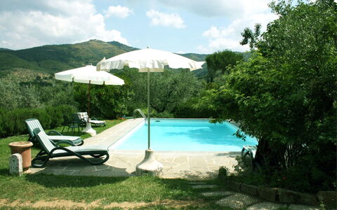 Collina dei Fiori: L'Eau, Plante, Ciel, Nuage, Parapluie, Bleu Azur, Piscine, Ombre, Mobilier De Jardin, Arbre