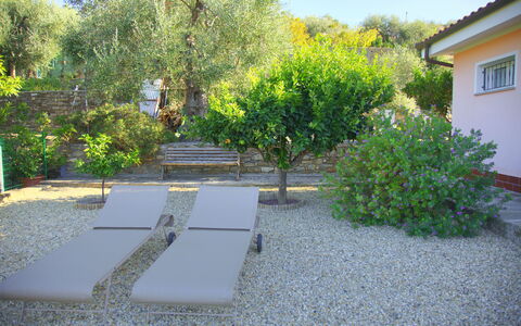 Casa Ilaria - Diano Marina: Propriété, Végétation, Cour, Jardin, Immobilier, Arrière-Cour, Maison, Arbre, Botanique, Paysage