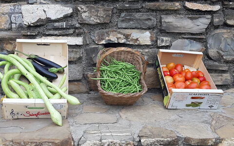 Casa Ilaria - Diano Marina: Aliments, Ingrédient, Aliments Naturels, Bois, Espace Public, Herbe