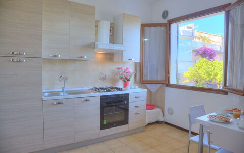 Logement:&nbsp;Flowers Of Andora - Rose