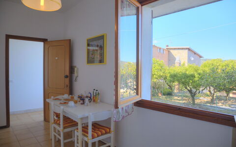 Logement:&nbsp;Flowers Of Andora - Geranio