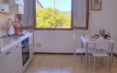 Logement:&nbsp;Flowers Of Andora - Rose