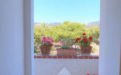 Logement:&nbsp;Flowers Of Andora - Rose