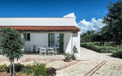 Bianca: Maison, Domicile, Arbuste, Zone Résidentielle, Façade, Toit, Jardin, Porte, Pot De Fleur