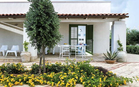Bianca: Arbuste, Jardin, Ombre, Pot De Fleur, Aménagement Paysager, Cour, Plante D'Appartement, Cour, Arrière-Cour